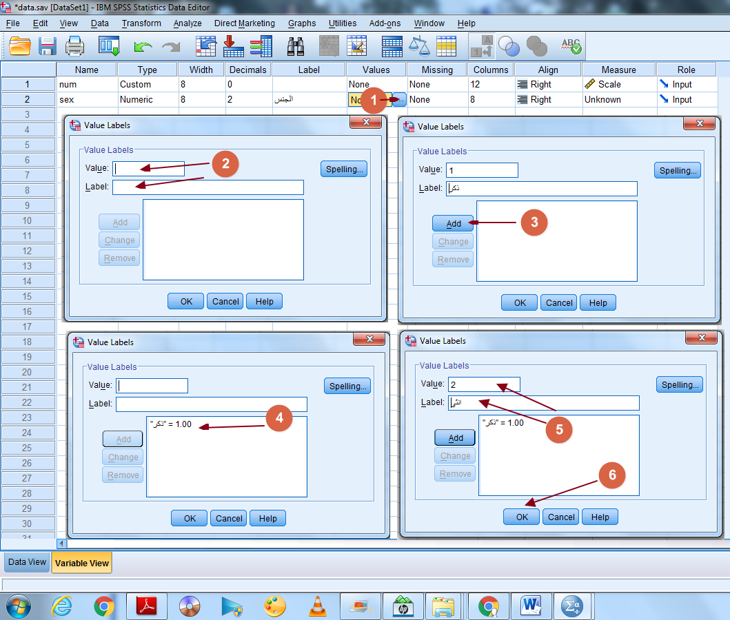 تجهيز و عرض البيانات برنامج spss